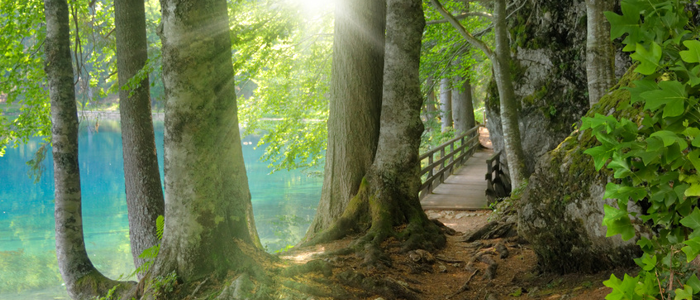 sys_familientherapie